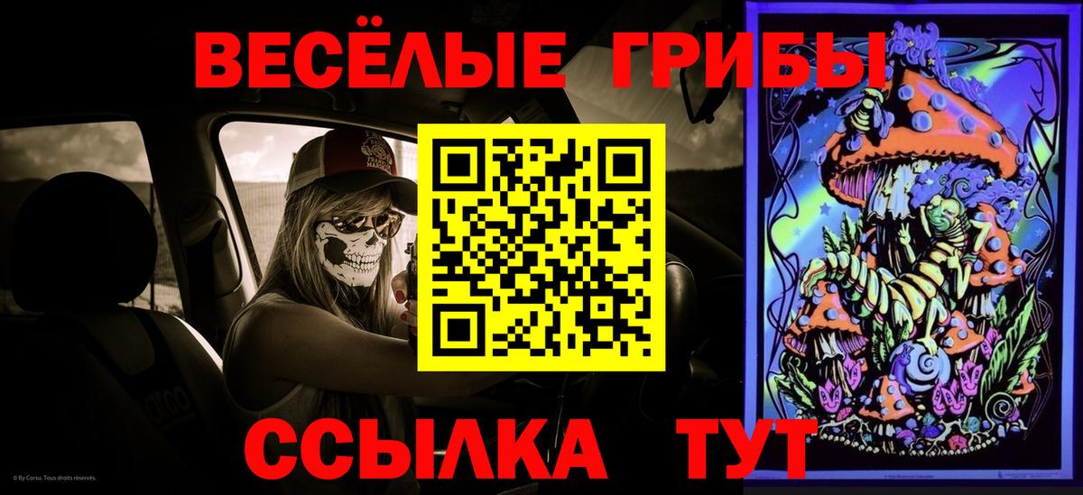 Владимир  как найти   Вход с VPN  Галлюциногенные грибы прущие грибы 